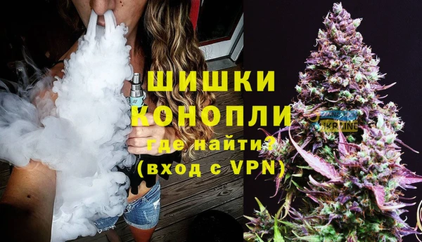 МДПВ Протвино