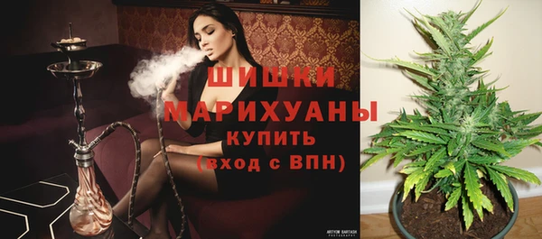 твердый Абаза