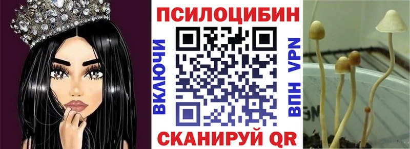 сколько стоит  Вышний Волочёк  Псилоцибиновые грибы GOLDEN TEACHER 